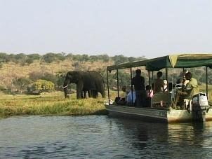 Chobe River game viewing