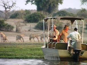 Chobe River cruise