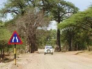Kavimba road