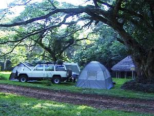 Camping Chirinda Forest