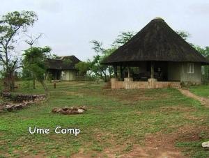 Ume Camp Matusadona